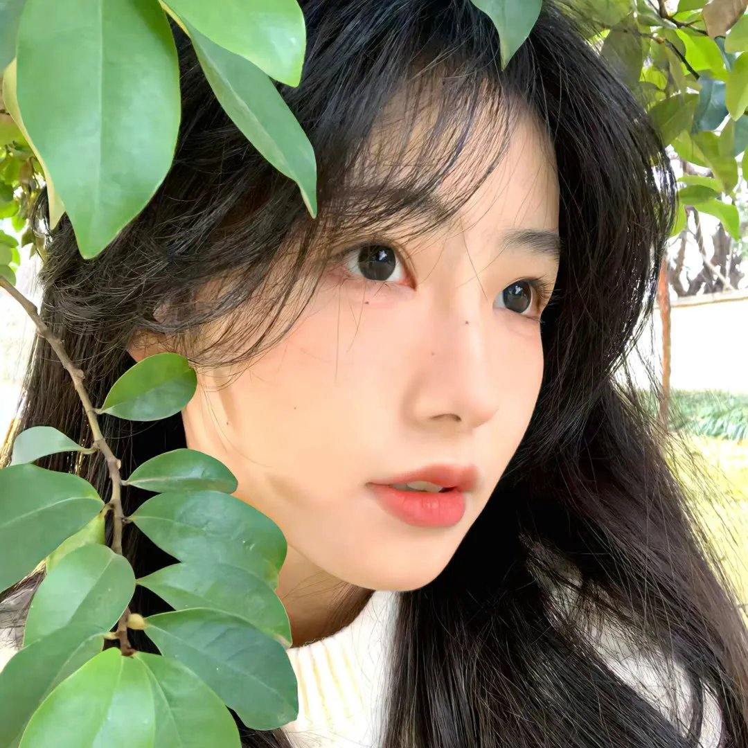 爱玛姑娘